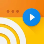 Web Video Caster Premium 9 Web Video Caster Premium Apk
