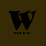 Wero Apk