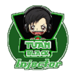 Black Injector Apk
