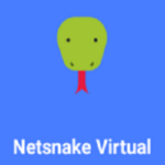 NetSnake Virtual